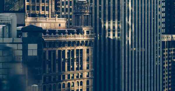 全自动智能宠物机器人 宠物机器人COZMO