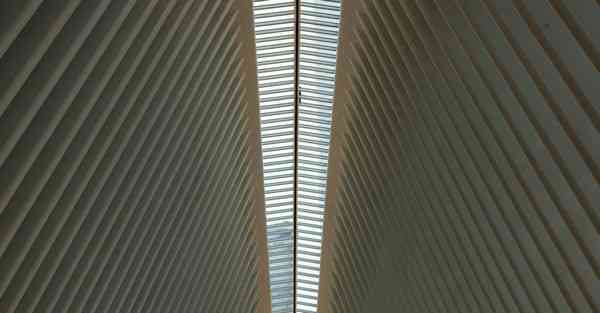 顺联动力双十一大数据