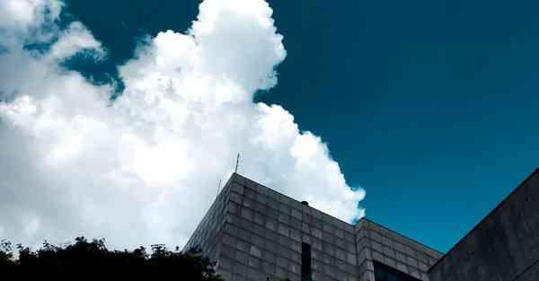 外国语单招大数据的行业文章