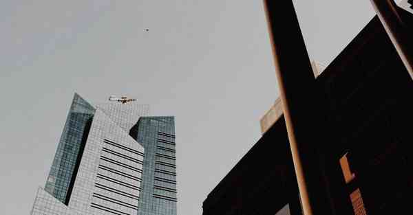 邻域人工智能（邻域人工智能怎么样）