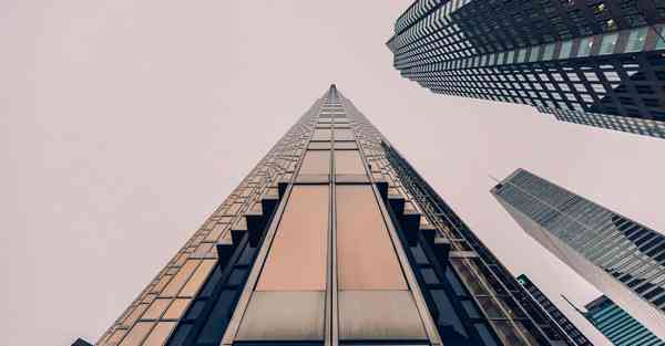 一键AI绘画宠物兔子