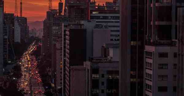 外国语单招大数据的行业文章