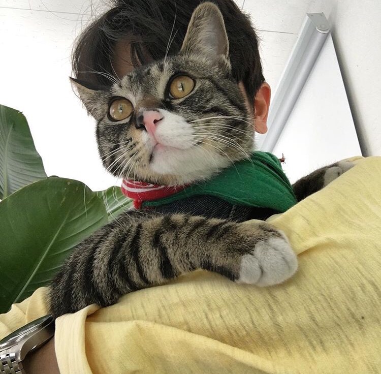 舒言烟瑶