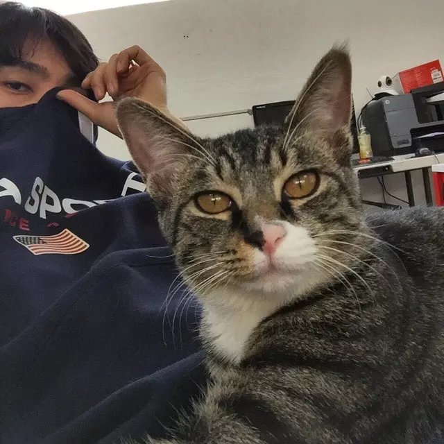 魏天群新