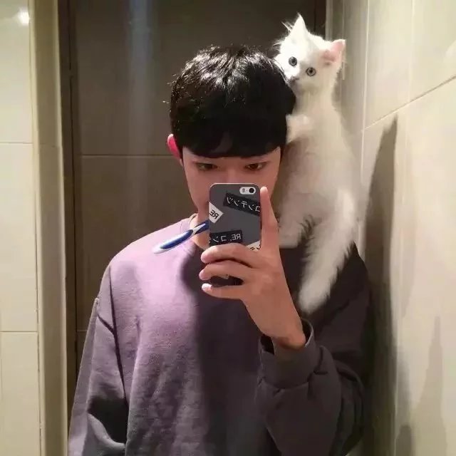 叶荣环弘