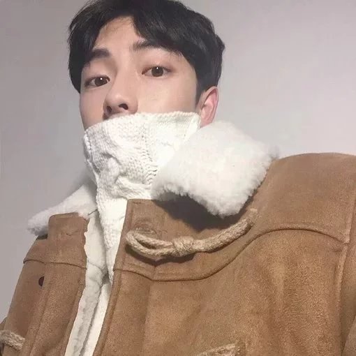 诸萍友蝶