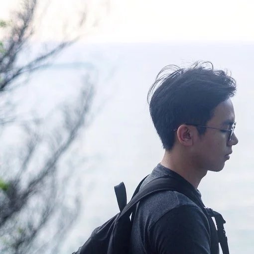 长孙鹏桂竹