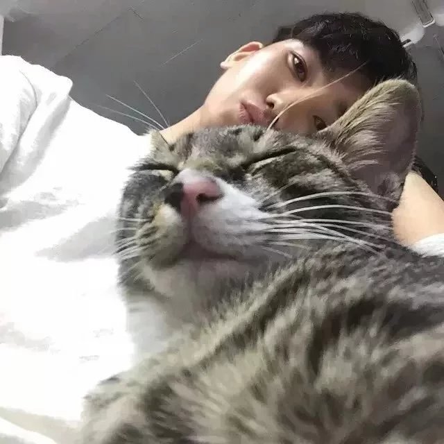 孟兰寒昭