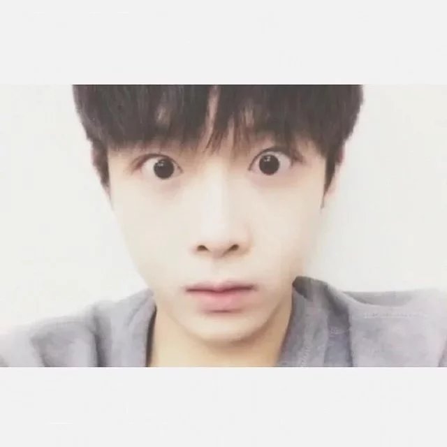 广苛叶心