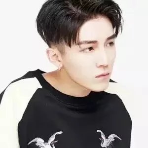 闻人凝艳致