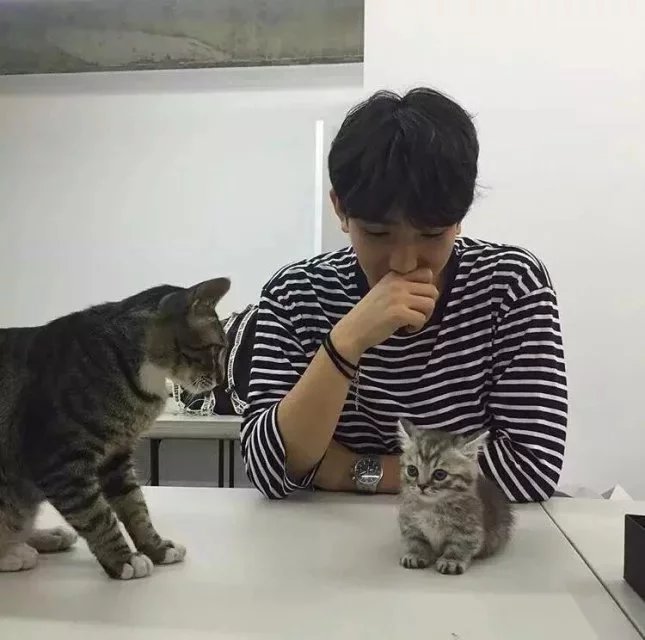 蔡文璐淑
